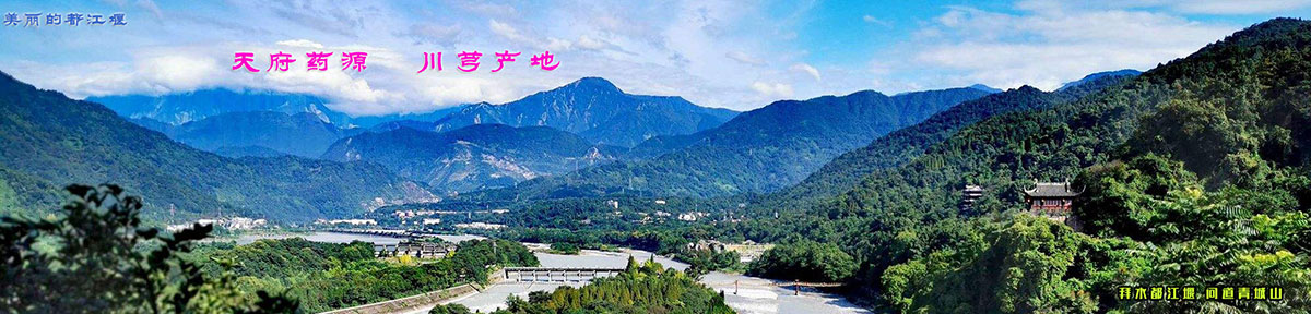 电商赋能农商文旅发展，川“堰”中药助力乡村振兴